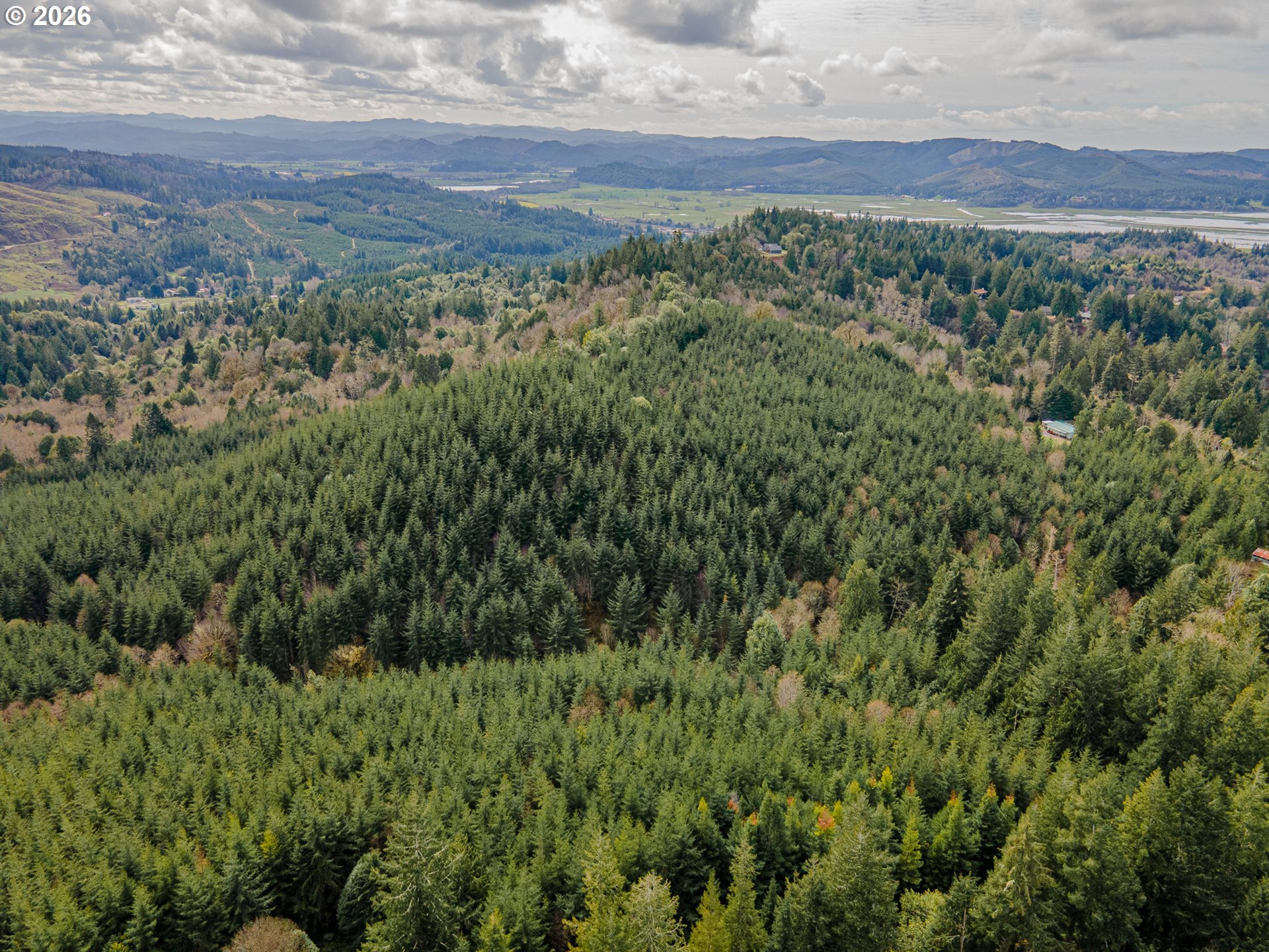 0 Shelley Road Coquille, OR 97423 - Photo 13 of 13 a view of a green field with lots of bushes
