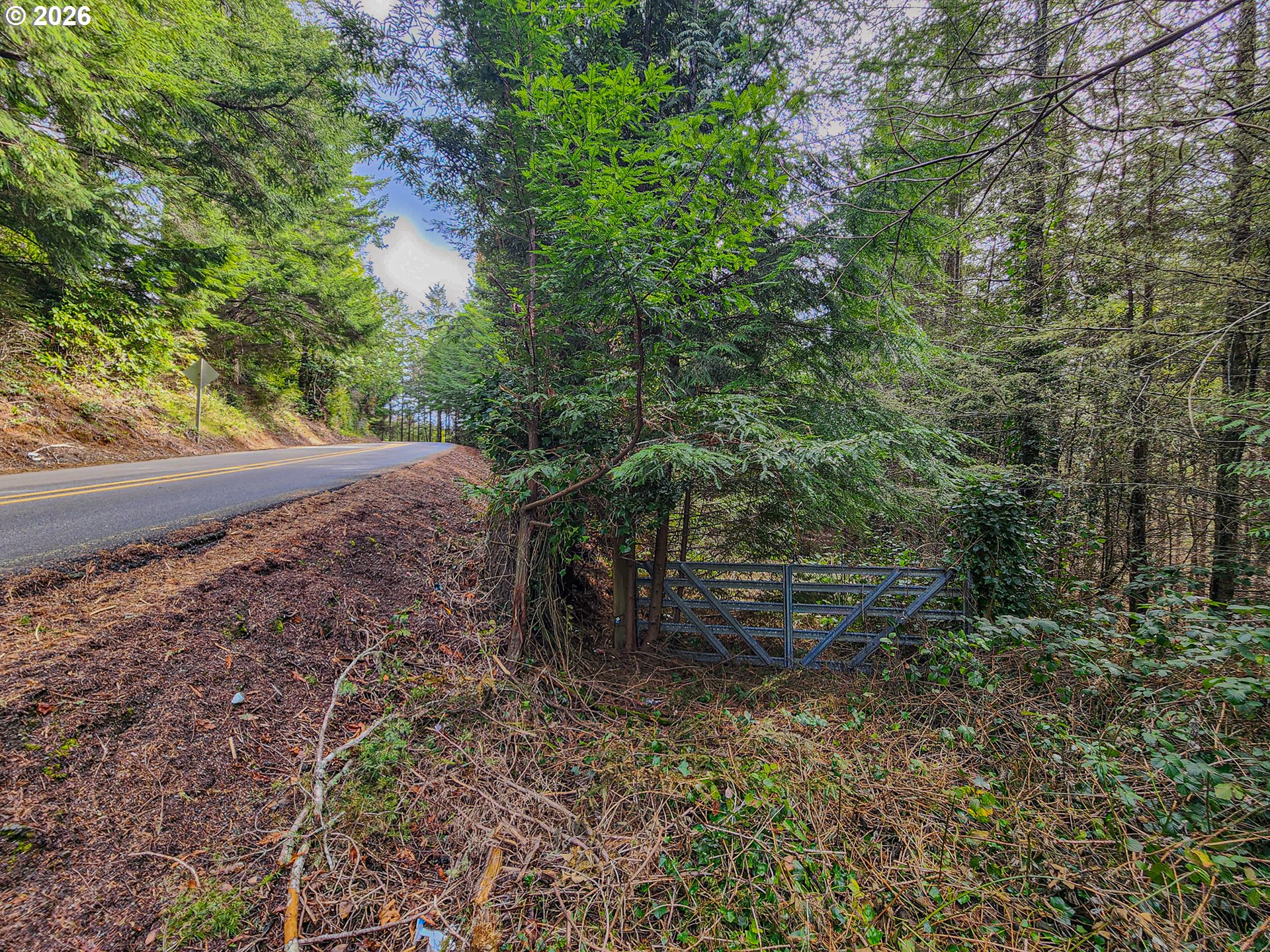 0 Shelley Road Coquille, OR 97423 - Photo 6 of 13 a backyard of a house with lots of plants and large trees