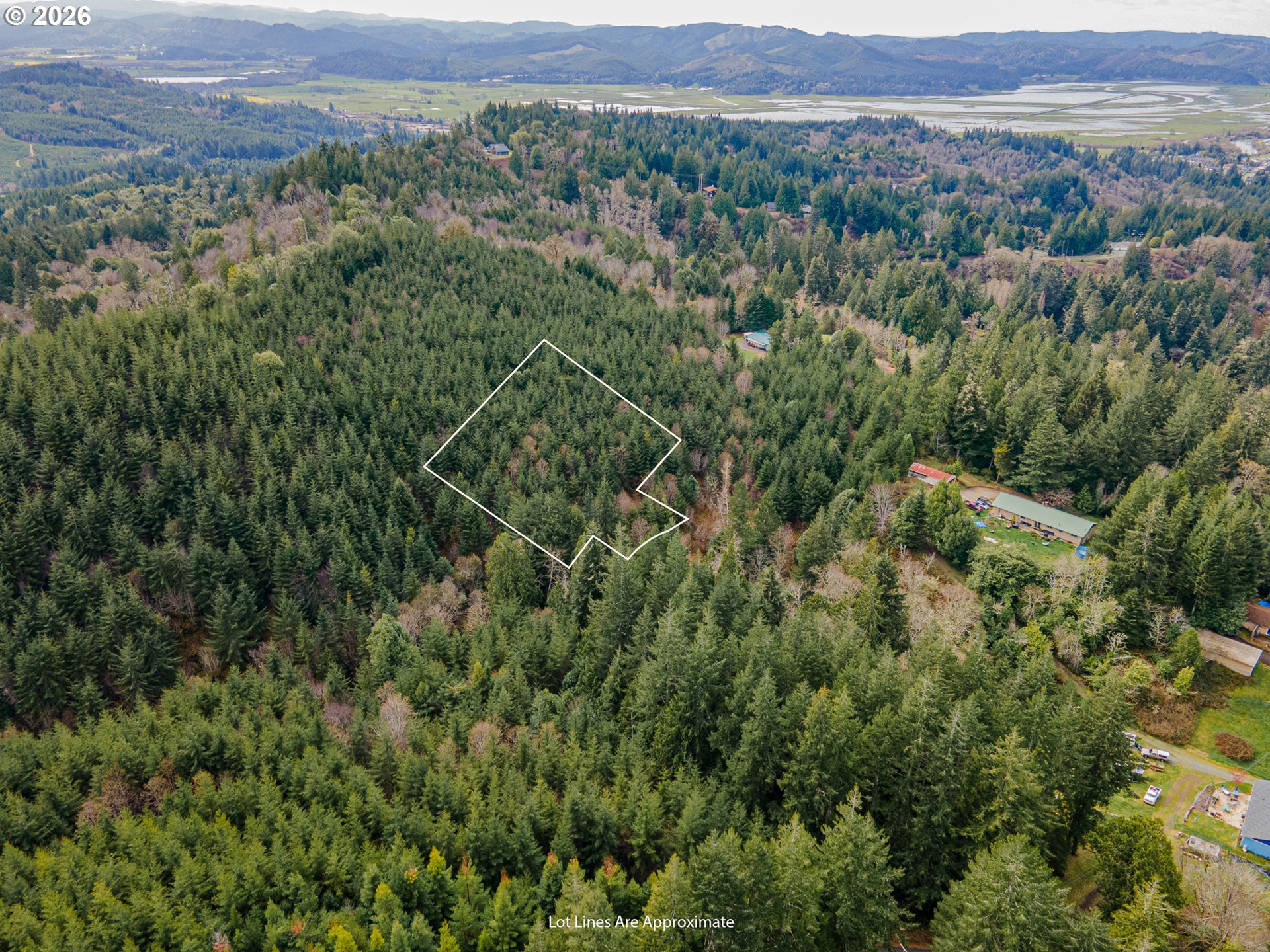 0 Shelley Road Coquille, OR 97423 - Photo 7 of 13 a view of a lush green forest with lush green forest