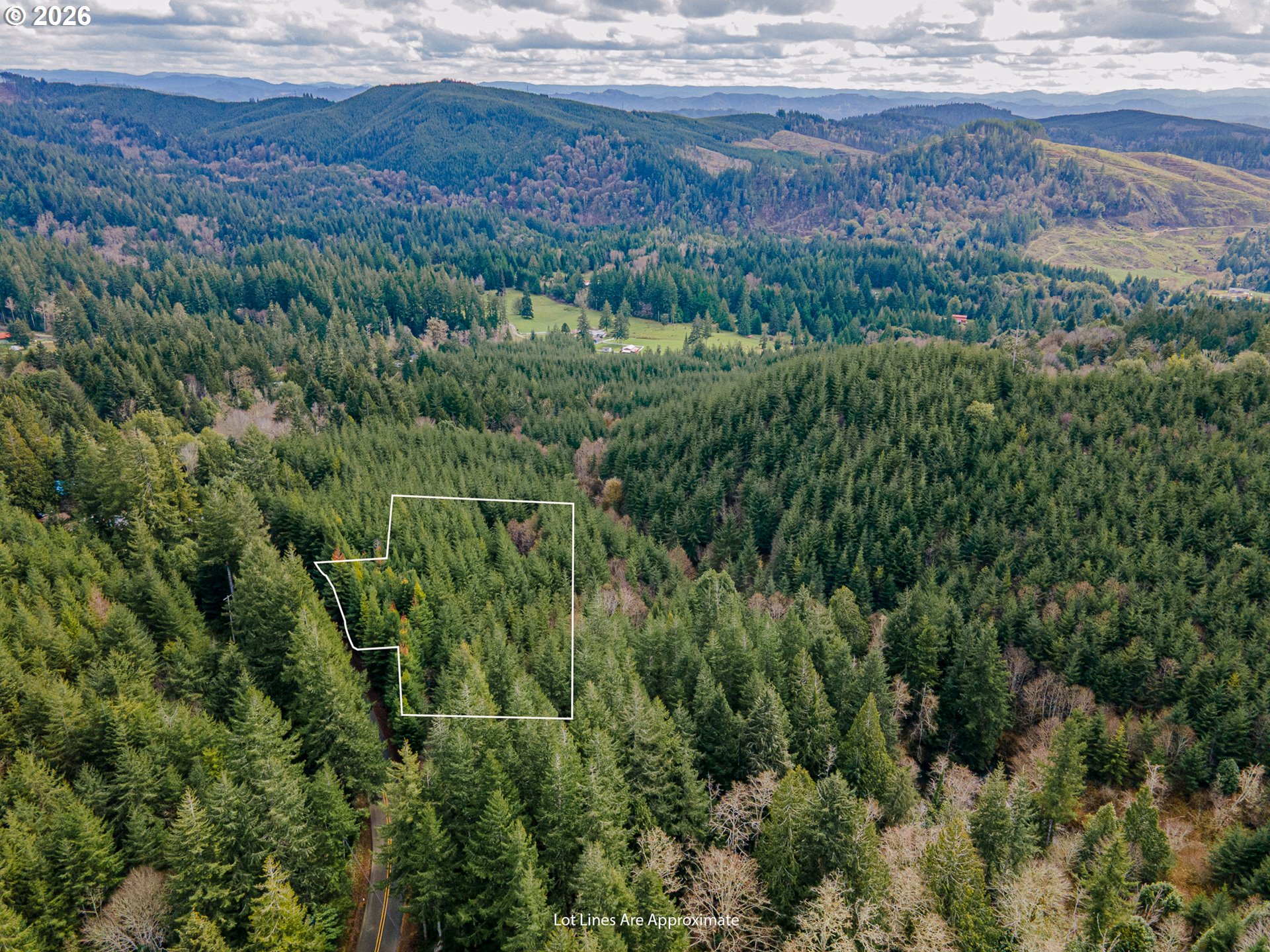 0 Shelley Road Coquille, OR 97423 - Photo 8 of 13 a view of a lush green forest with lush green forest