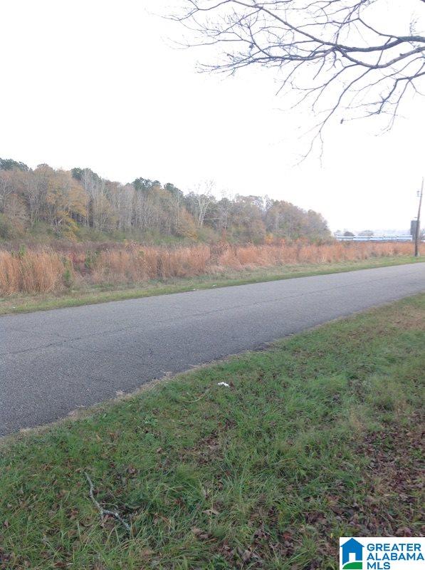 0 Lister Ferry Road, Unit 1 Gadsden, AL 35907 - Photo 21 of 30