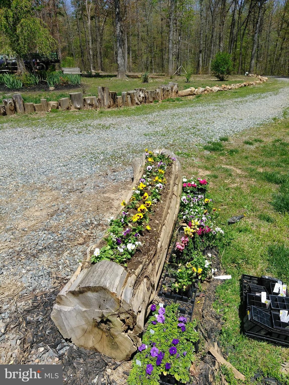 819 Billy B Road Louisa, VA 23093 - Photo 14 of 14 Exterior (General)