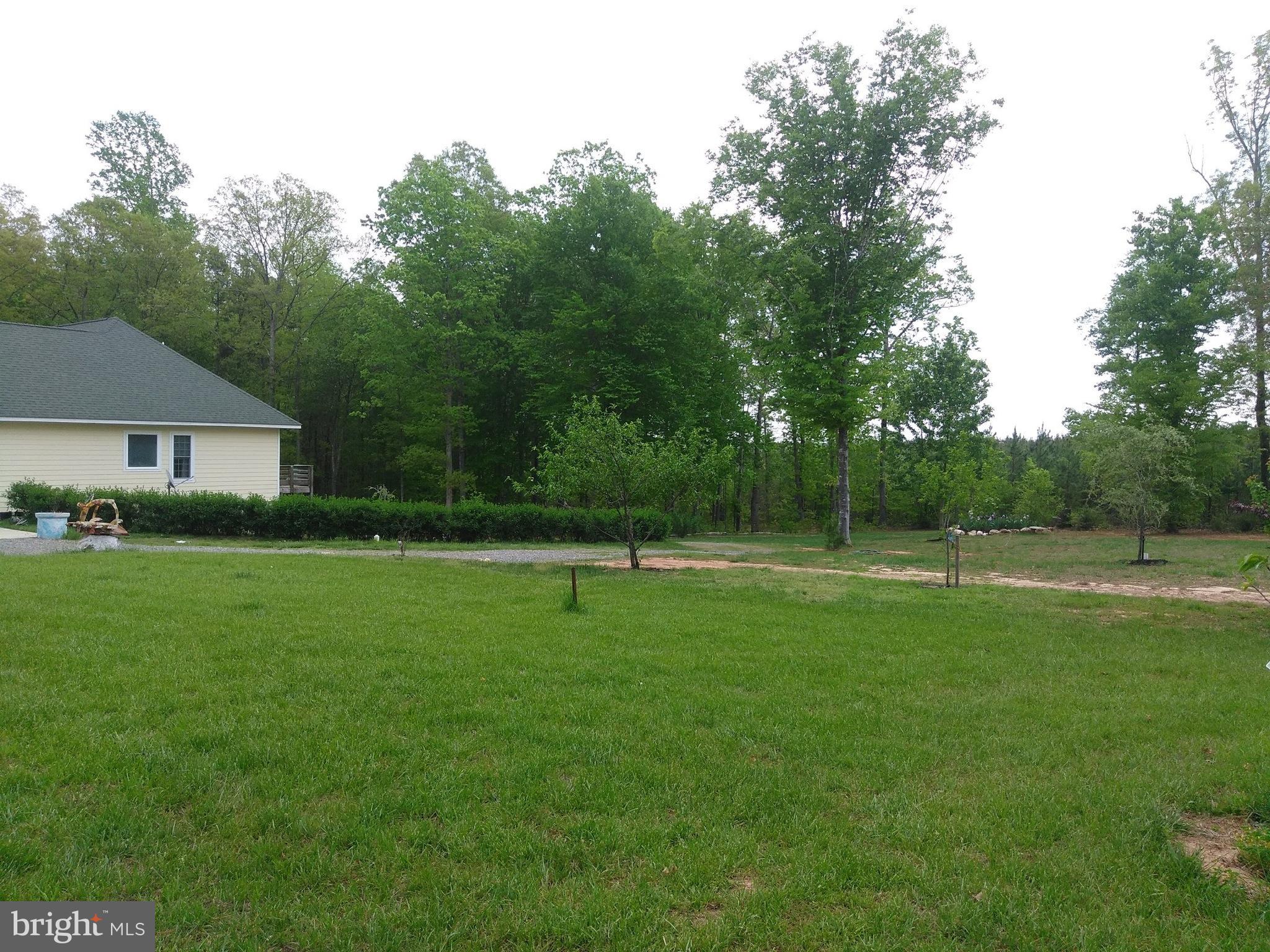 819 Billy B Road Louisa, VA 23093 - Photo 4 of 14 Exterior (General)