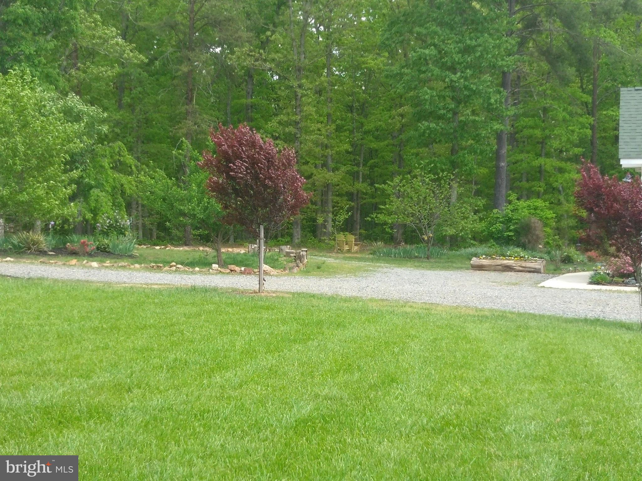 819 Billy B Road Louisa, VA 23093 - Photo 8 of 14 Exterior (General)
