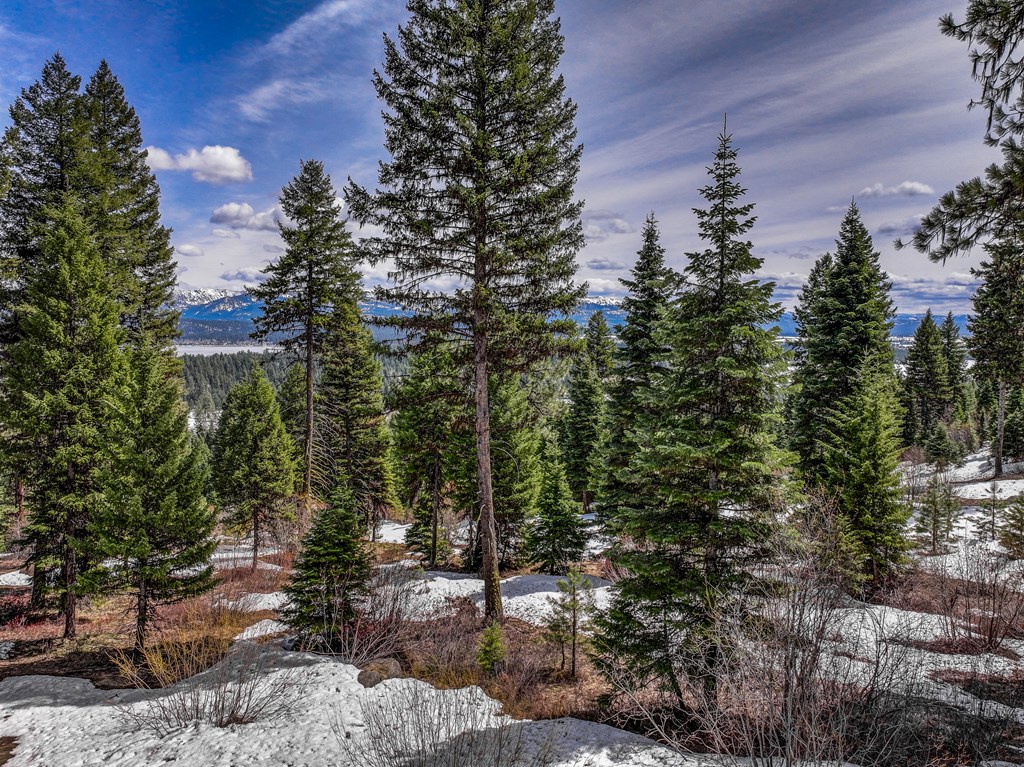 671 Aster Court, Unit 64 McCall, ID 83638 - Photo 3 of 6