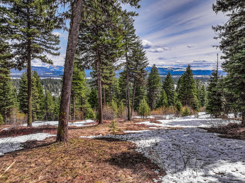 671 Aster Court, Unit 64 McCall, ID 83638 - Photo 4 of 6
