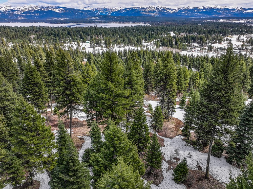 671 Aster Court, Unit 64 McCall, ID 83638 - Photo 5 of 6