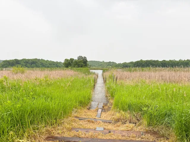 $649,900 | 24718 West Elbow Road, Pelican Rapids, MN 56572