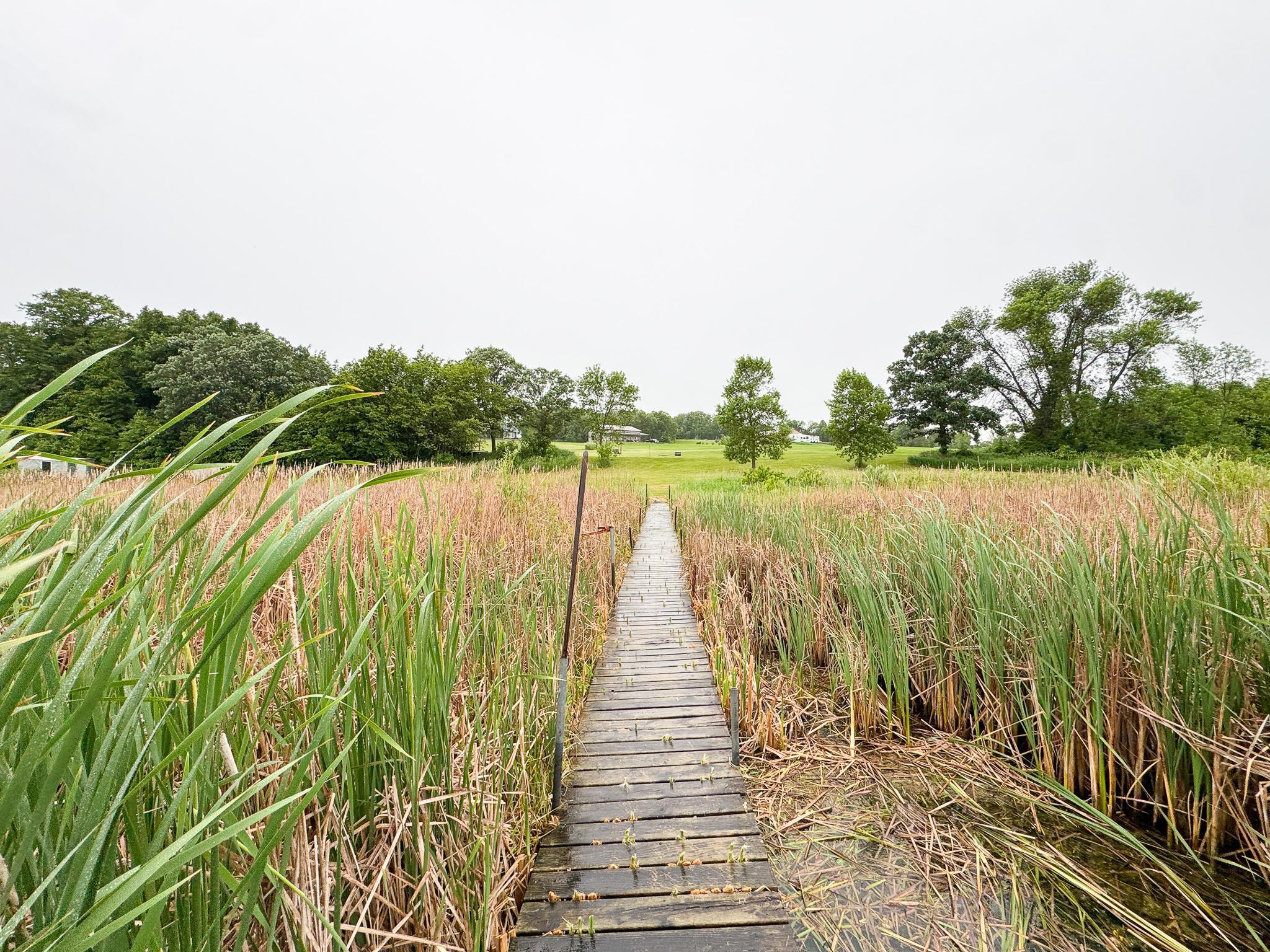 24718 West Elbow Road Pelican Rapids, MN 56572 - Photo 48 of 68