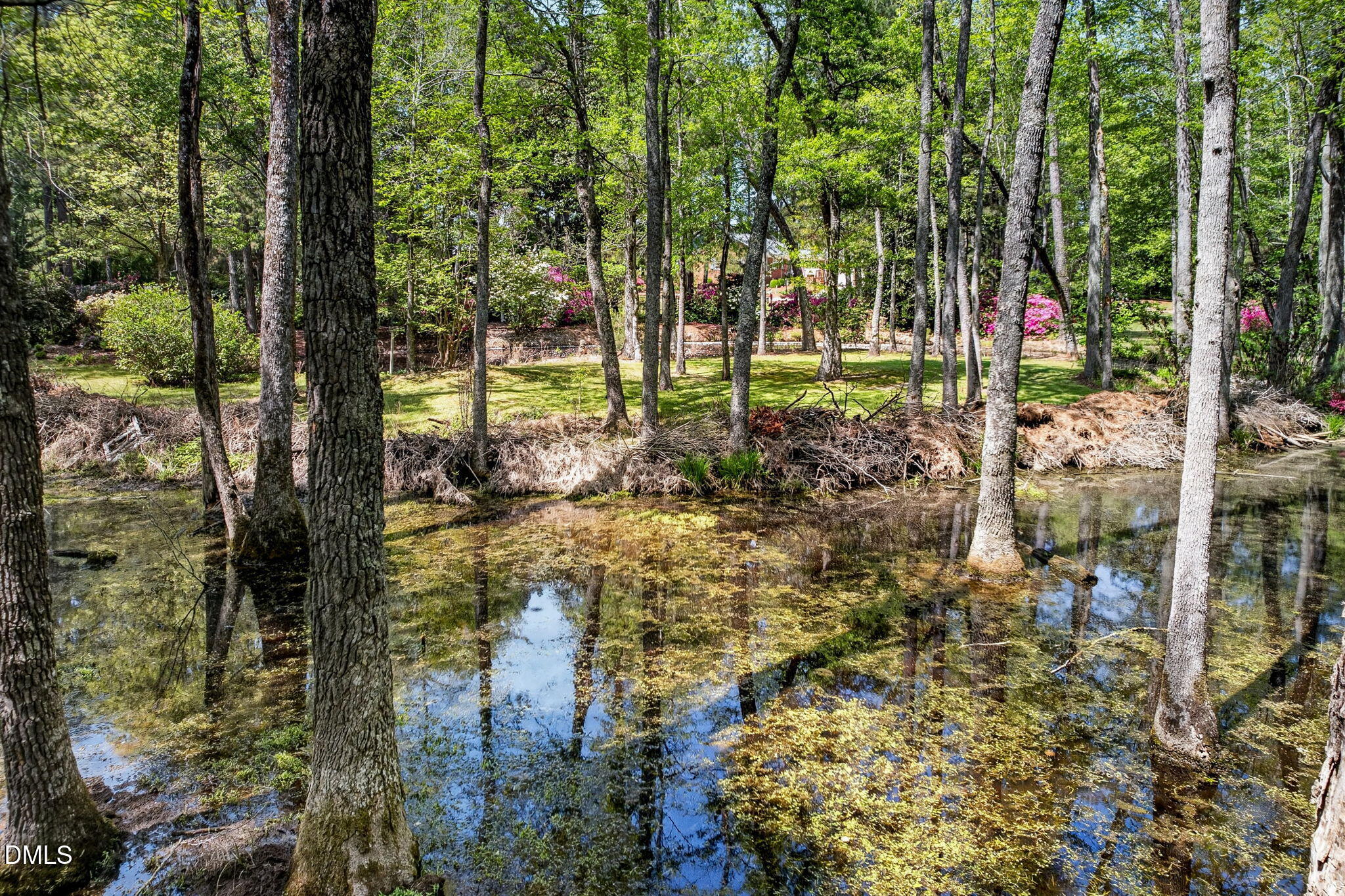 1046 Johnson Road Coats, NC 27521 - Photo 85 of 100 85-web-or-mls-1046 Johnson Rd -101