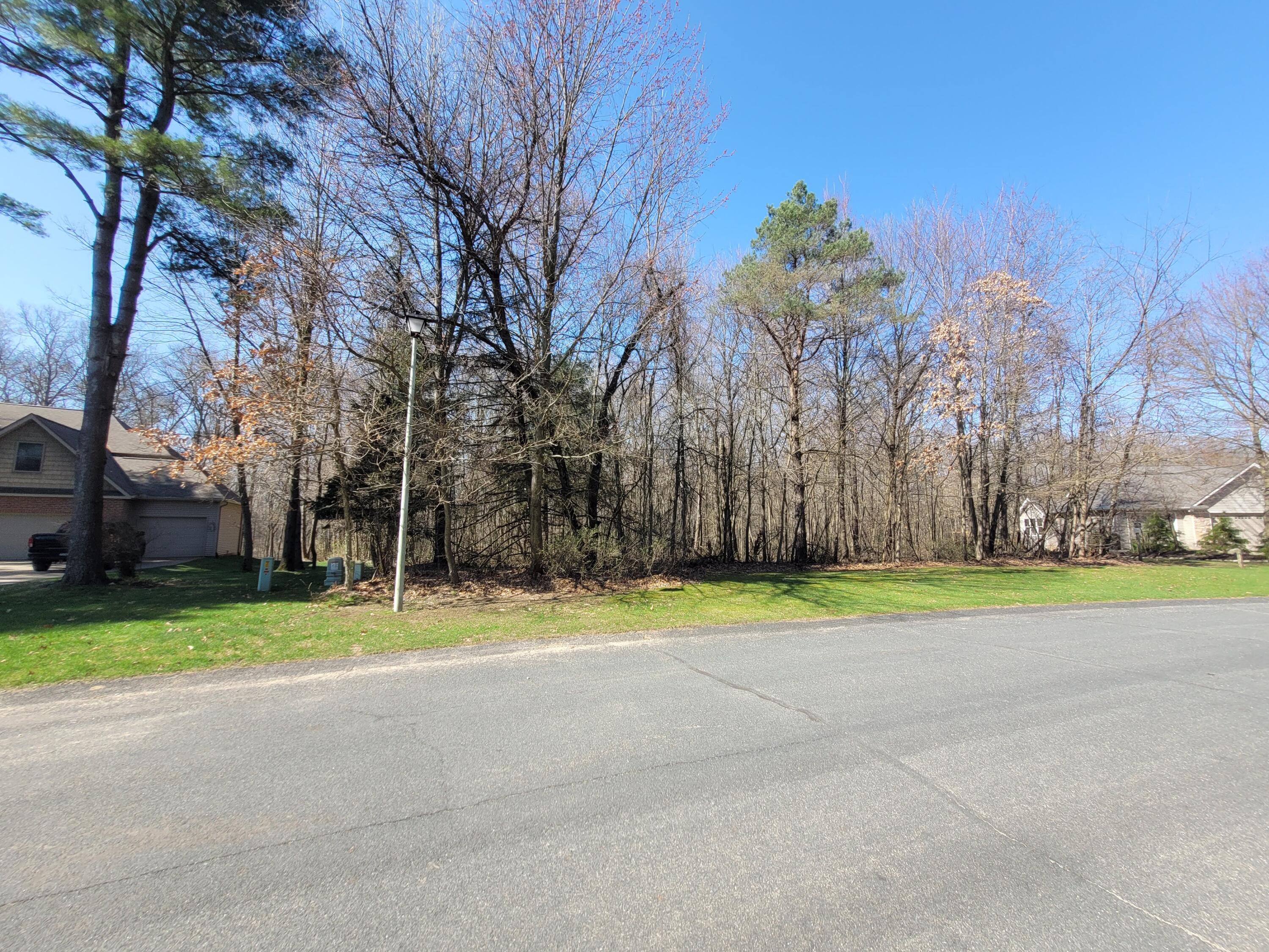 Marsh Ridge Trail Augusta, MI 49012 - Photo 4 of 7 lot-74-stoney-creek-augusta-mi