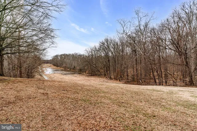 a view of outdoor space with trees