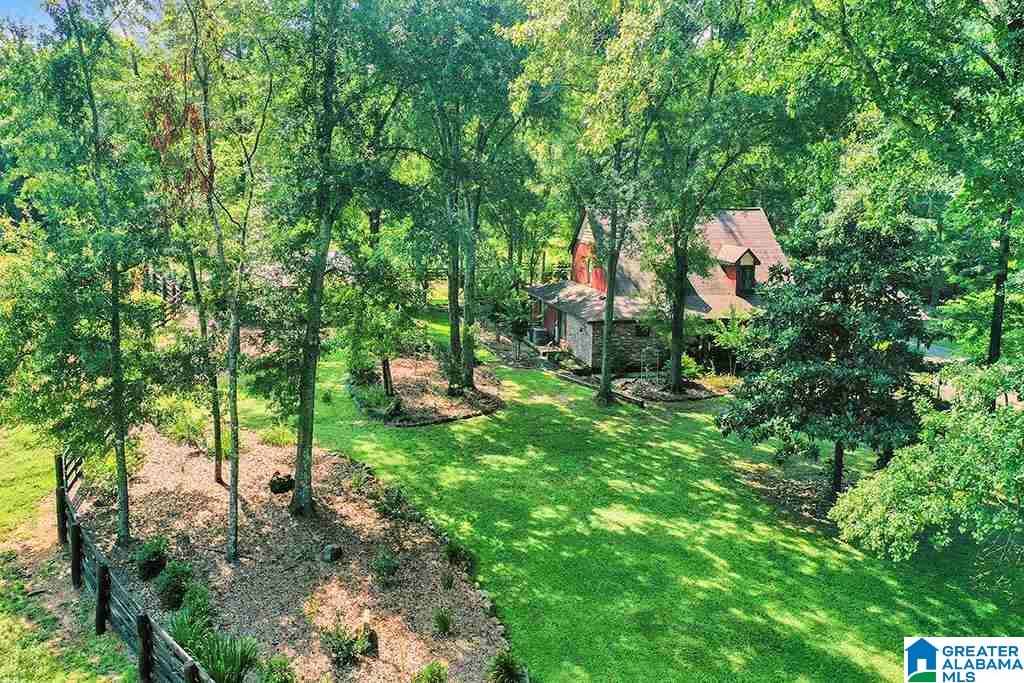 1675 Canoe Creek Road Springville, AL 35146 - Photo 48 of 50