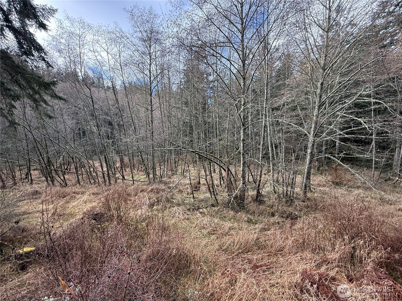 4534 Point Lawrence Road Orcas Island, WA 98279 - Photo 32 of 34
