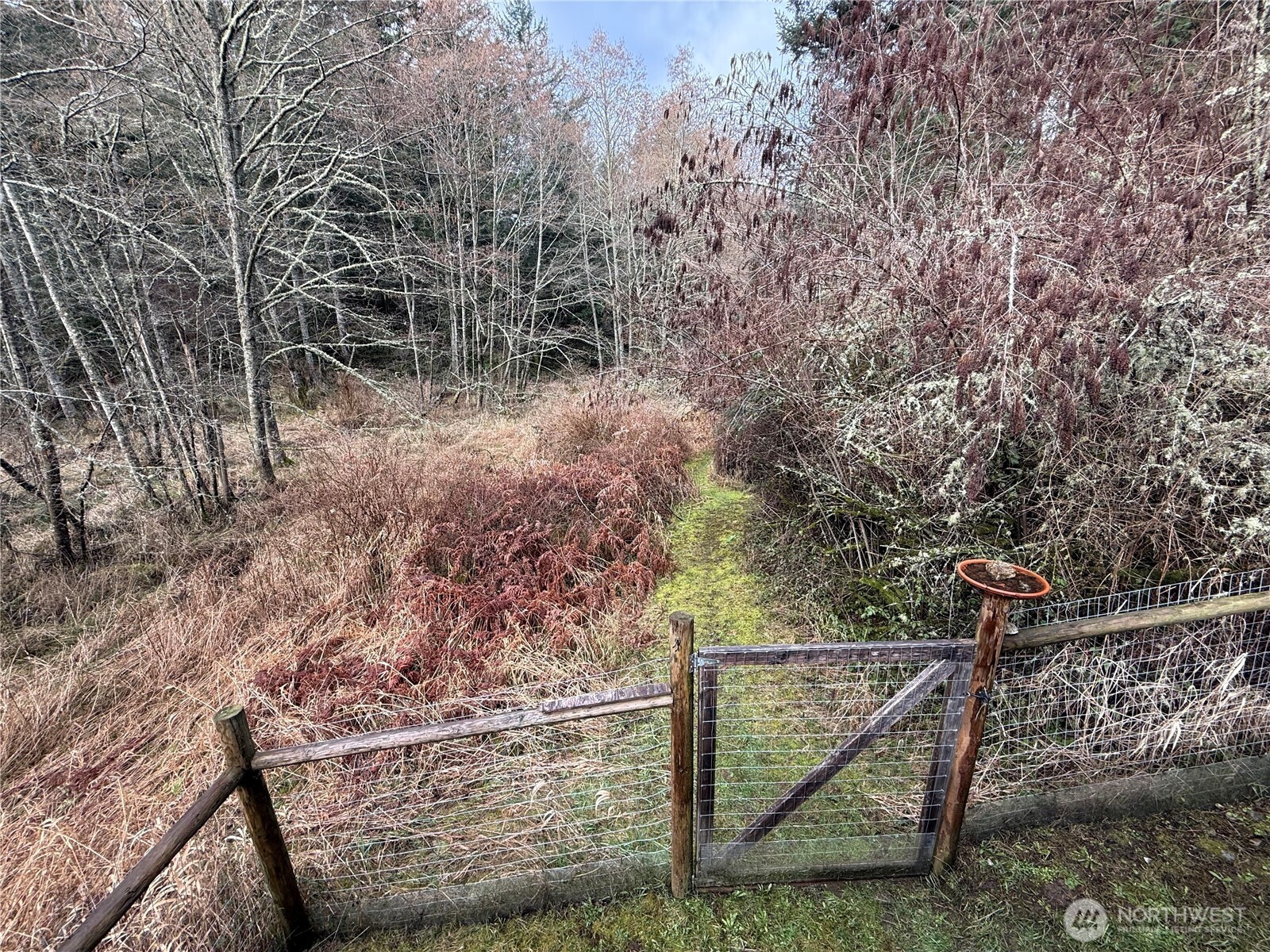 4534 Point Lawrence Road Orcas Island, WA 98279 - Photo 33 of 34
