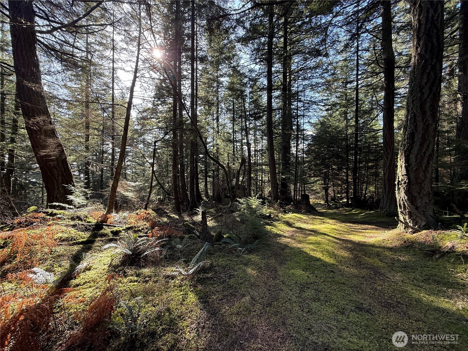 4534 Point Lawrence Road Orcas Island, WA 98279 - Photo 34 of 34