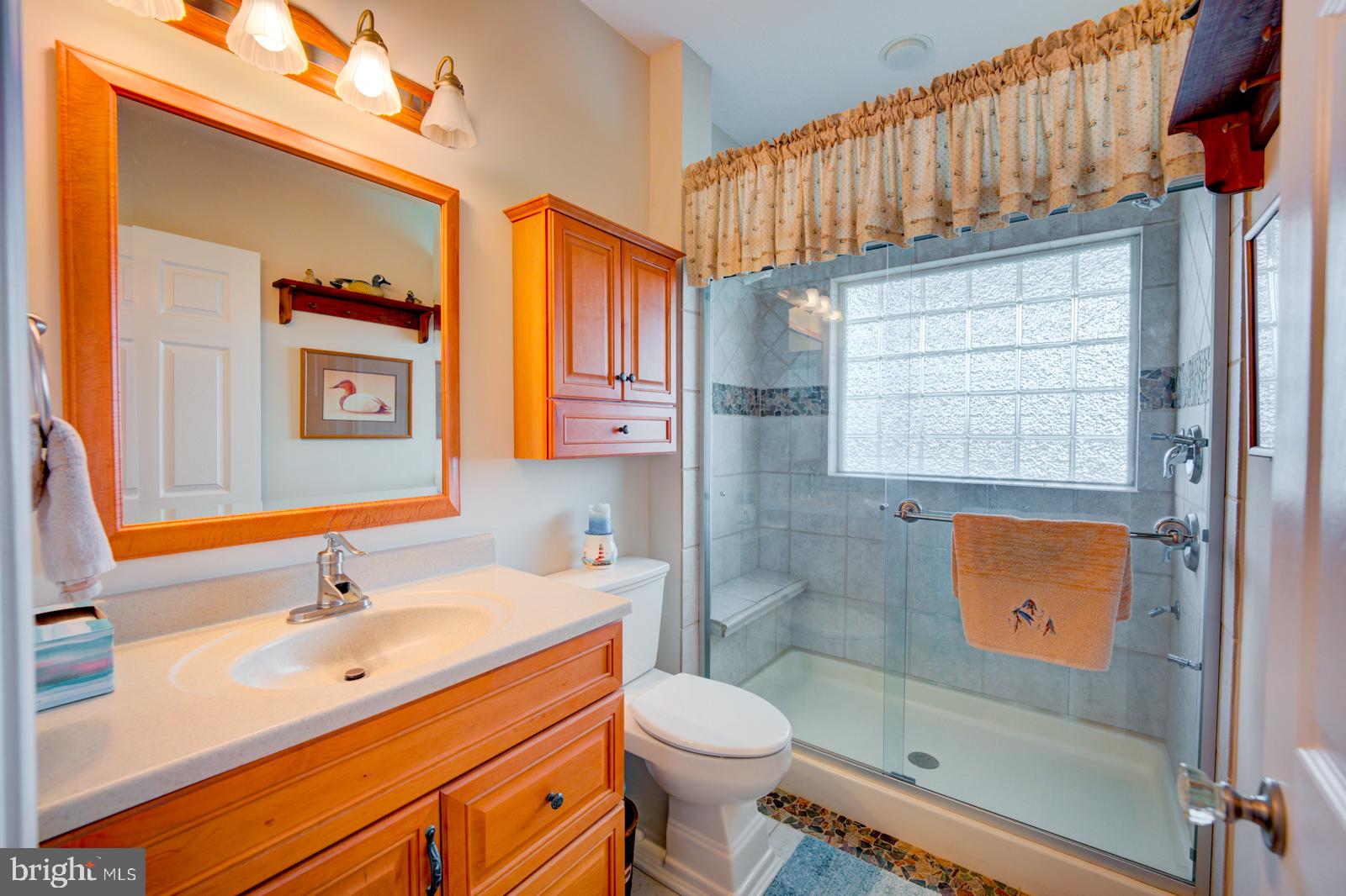 6542 Pine Stake Road Culpeper, VA 22701 - Photo 31 of 113 Bright and inviting bathroom oasis.