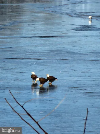 a view of a wooden fence