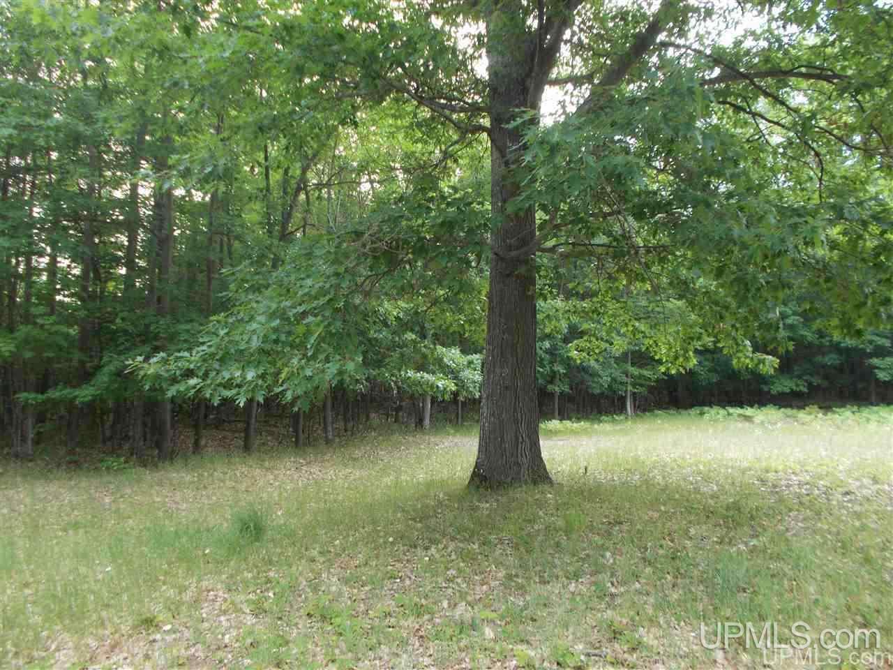 3691 Co Road Big Bay, MI 49808 - Photo 6 of 40