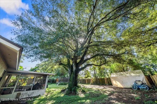 a view of backyard with large trees and potted plants