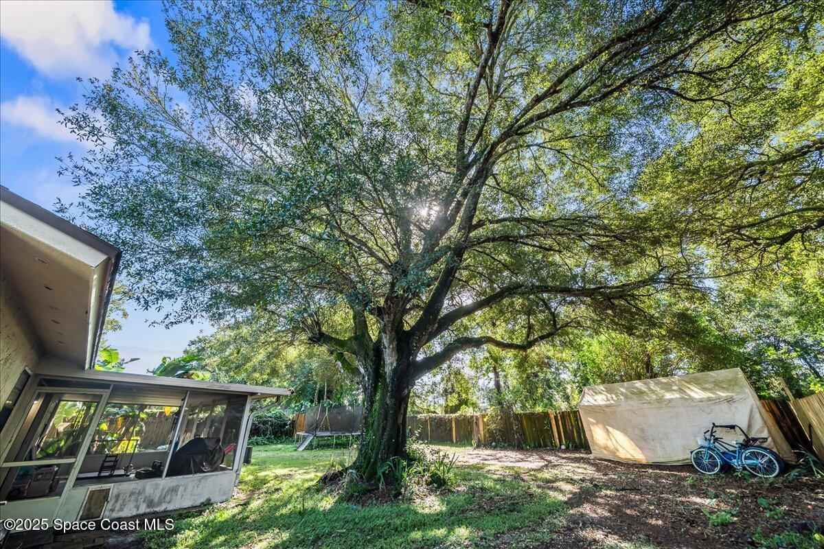 5575 Curtis Boulevard Cocoa, FL 32927 - Photo 23 of 25 a view of backyard with large trees and potted plants