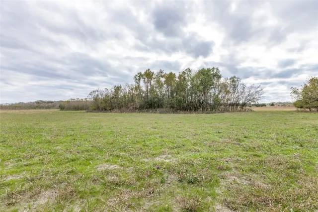 a view of a field with an ocean