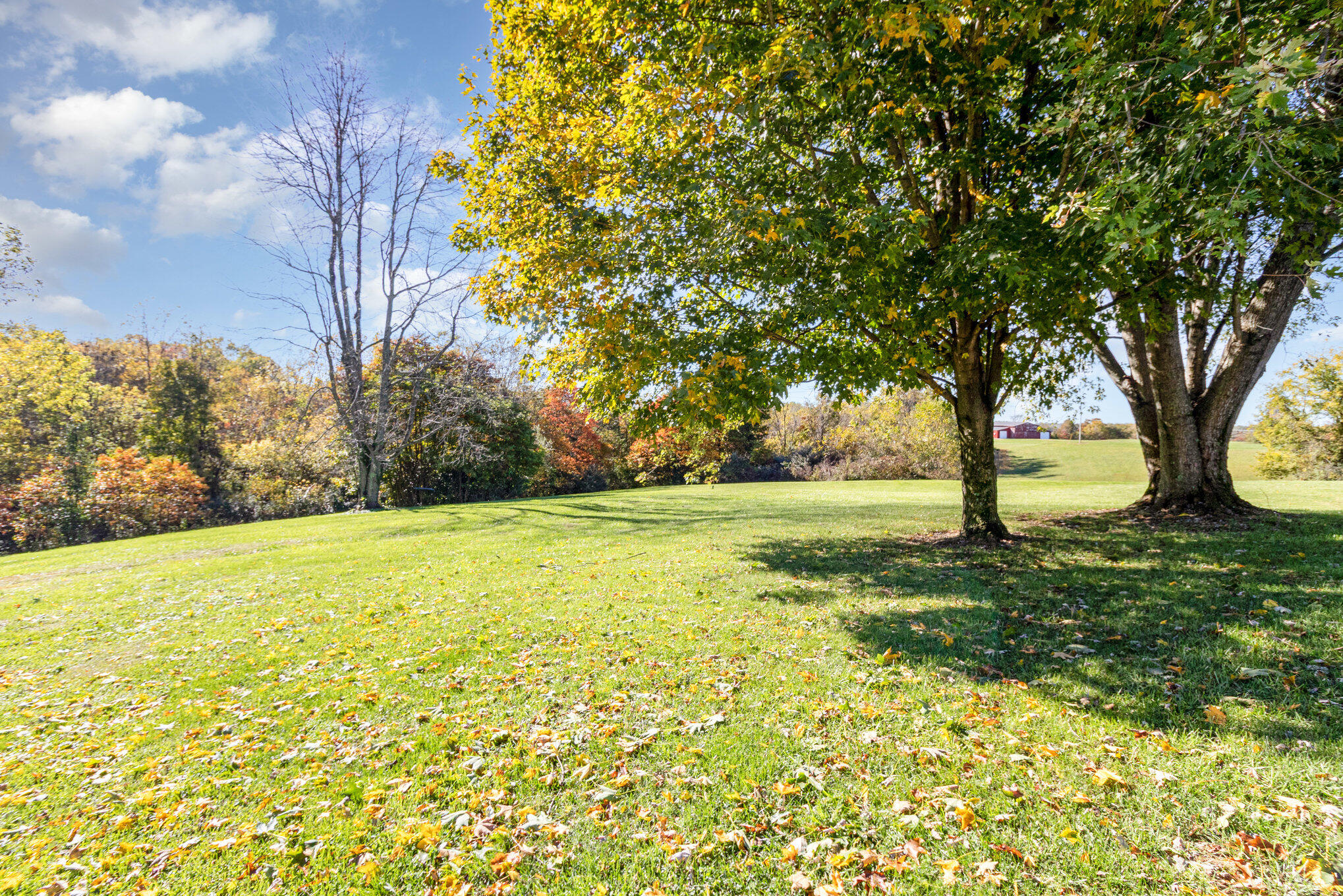 1480 Crittenden Mt Zion Road Dry Ridge, KY 41035 - Photo 26 of 35 Gallery Image 26