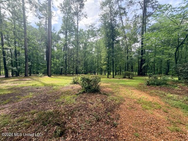 320 Springhill Drive Terry, MS 39170 - Photo 27 of 28 IMG_7181