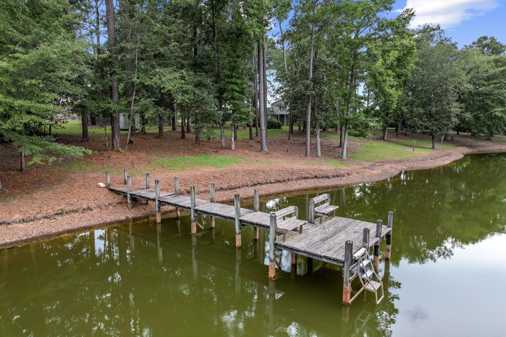 6850 North Co Road Columbia, AL 36319 - Photo 73 of 81