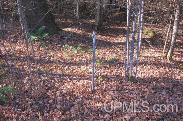 Tbd Byzcek Road Iron River, MI 49935 - Photo 2 of 11