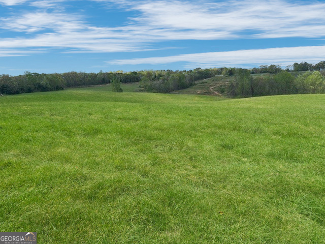 0 Gooseneck Road Eastanollee, GA 30538 - Photo 1 of 22