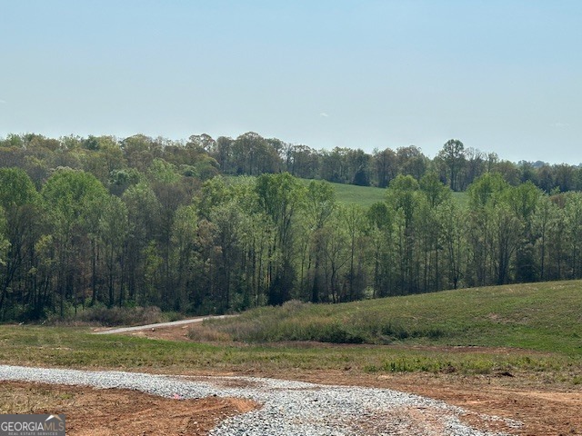 0 Gooseneck Road Eastanollee, GA 30538 - Photo 11 of 22