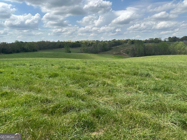 963 Goose Neck Road, Unit LOT 2 Eastanollee, GA 30538 - Photo 12 of 23 a view of a garden with an outdoor space