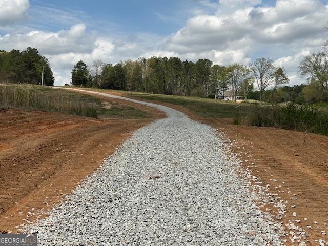 0 Gooseneck Road Eastanollee, GA 30538 - Photo 14 of 22