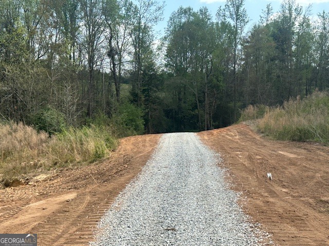 0 Gooseneck Road Eastanollee, GA 30538 - Photo 16 of 22