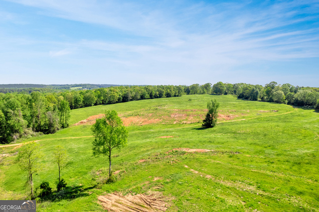 963 Goose Neck Road, Unit LOT 2 Eastanollee, GA 30538 - Photo 17 of 23 a view of a golf course with a lake