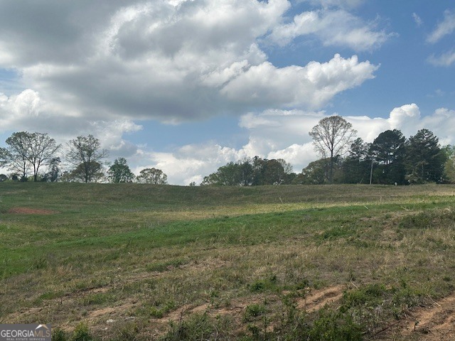 0 Gooseneck Road Eastanollee, GA 30538 - Photo 17 of 22