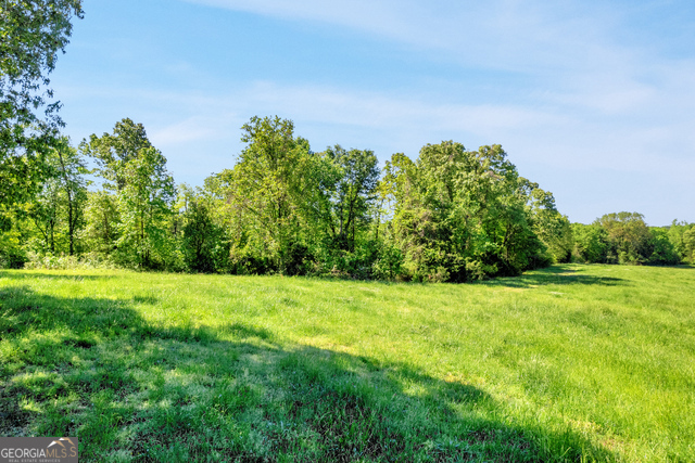0 Gooseneck Road Eastanollee, GA 30538 - Photo 18 of 22