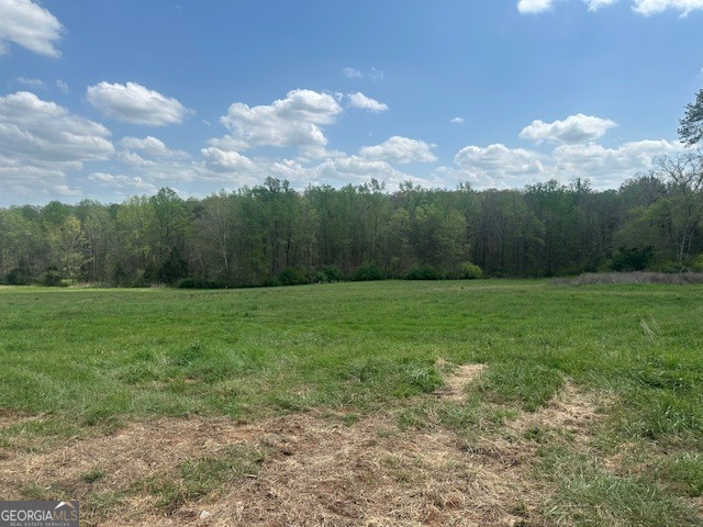 0 Gooseneck Road Eastanollee, GA 30538 - Photo 19 of 22