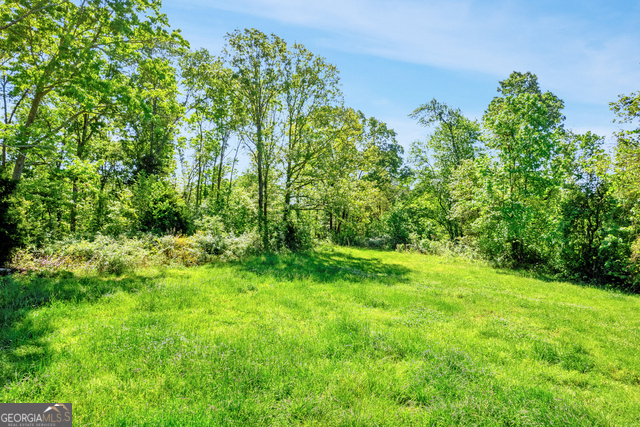 963 Goose Neck Road, Unit LOT 2 Eastanollee, GA 30538 - Photo 21 of 23 a view of a yard with plants and a bench