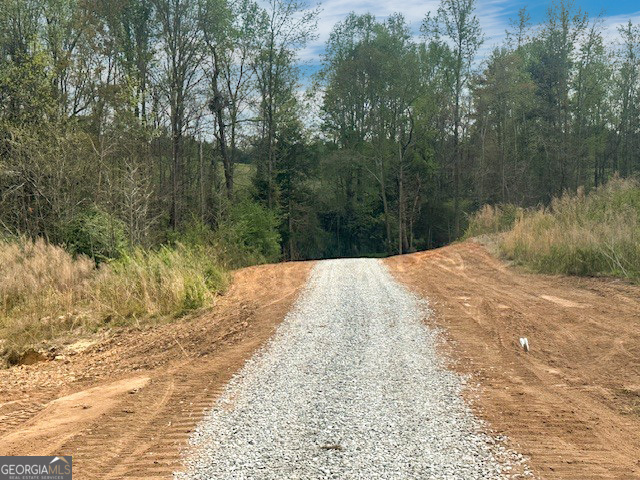 0 Gooseneck Road Eastanollee, GA 30538 - Photo 22 of 22