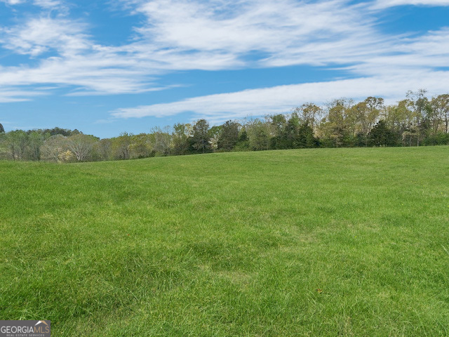 0 Gooseneck Road Eastanollee, GA 30538 - Photo 3 of 22