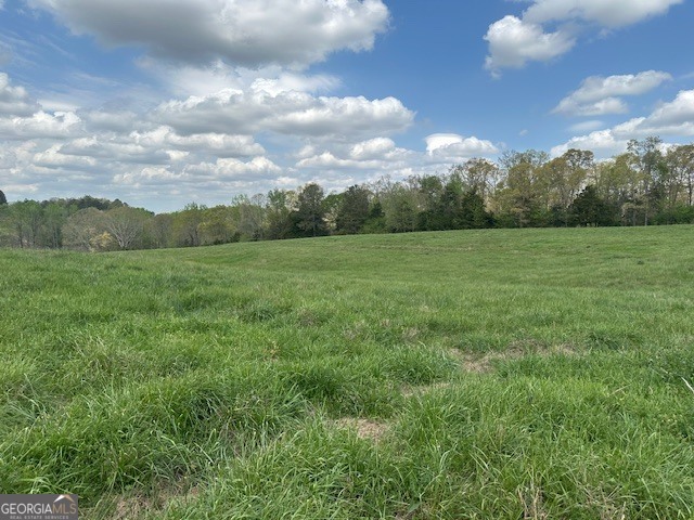 0 Gooseneck Road Eastanollee, GA 30538 - Photo 4 of 22