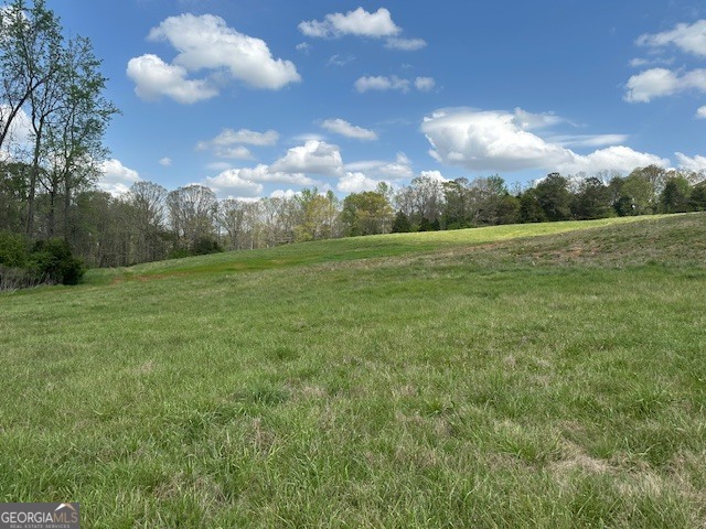 963 Goose Neck Road, Unit LOT 2 Eastanollee, GA 30538 - Photo 6 of 23 a view of a green field