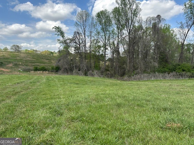 0 Gooseneck Road Eastanollee, GA 30538 - Photo 8 of 22