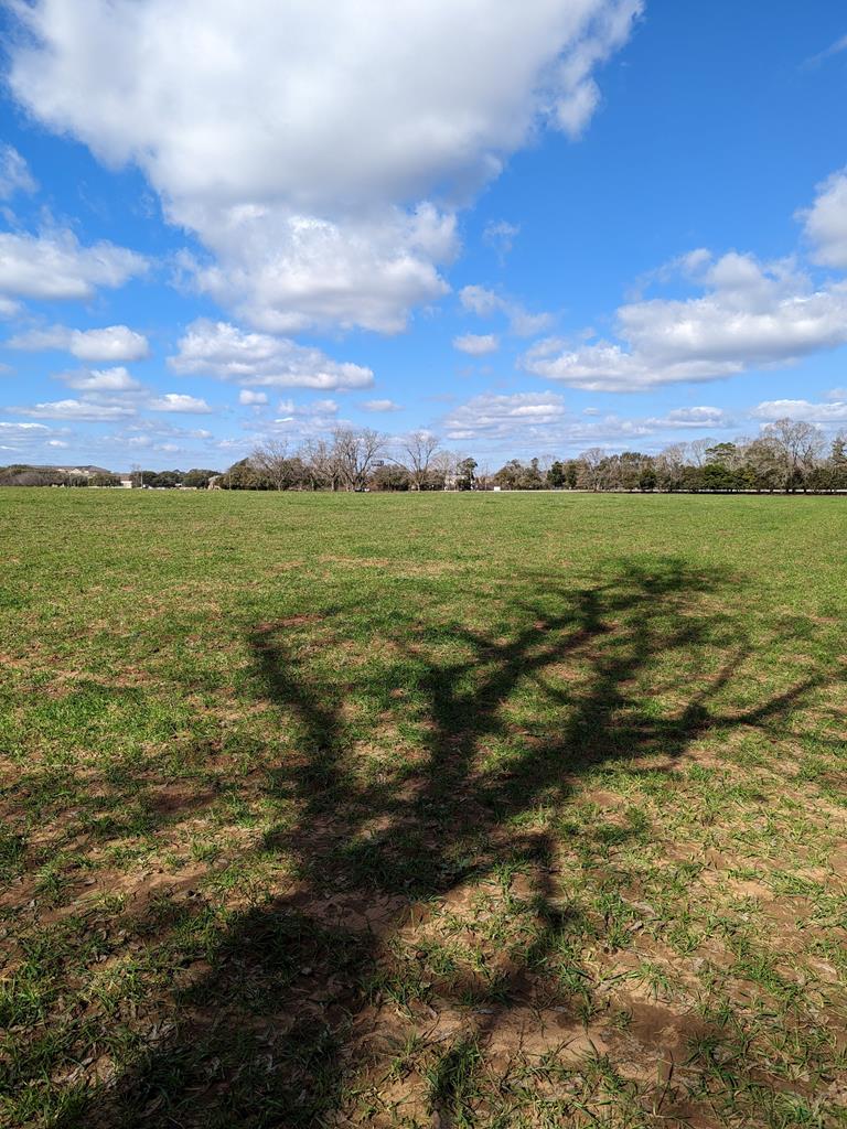 0 County Road 112 Dothan, AL 36303 - Photo 8 of 10