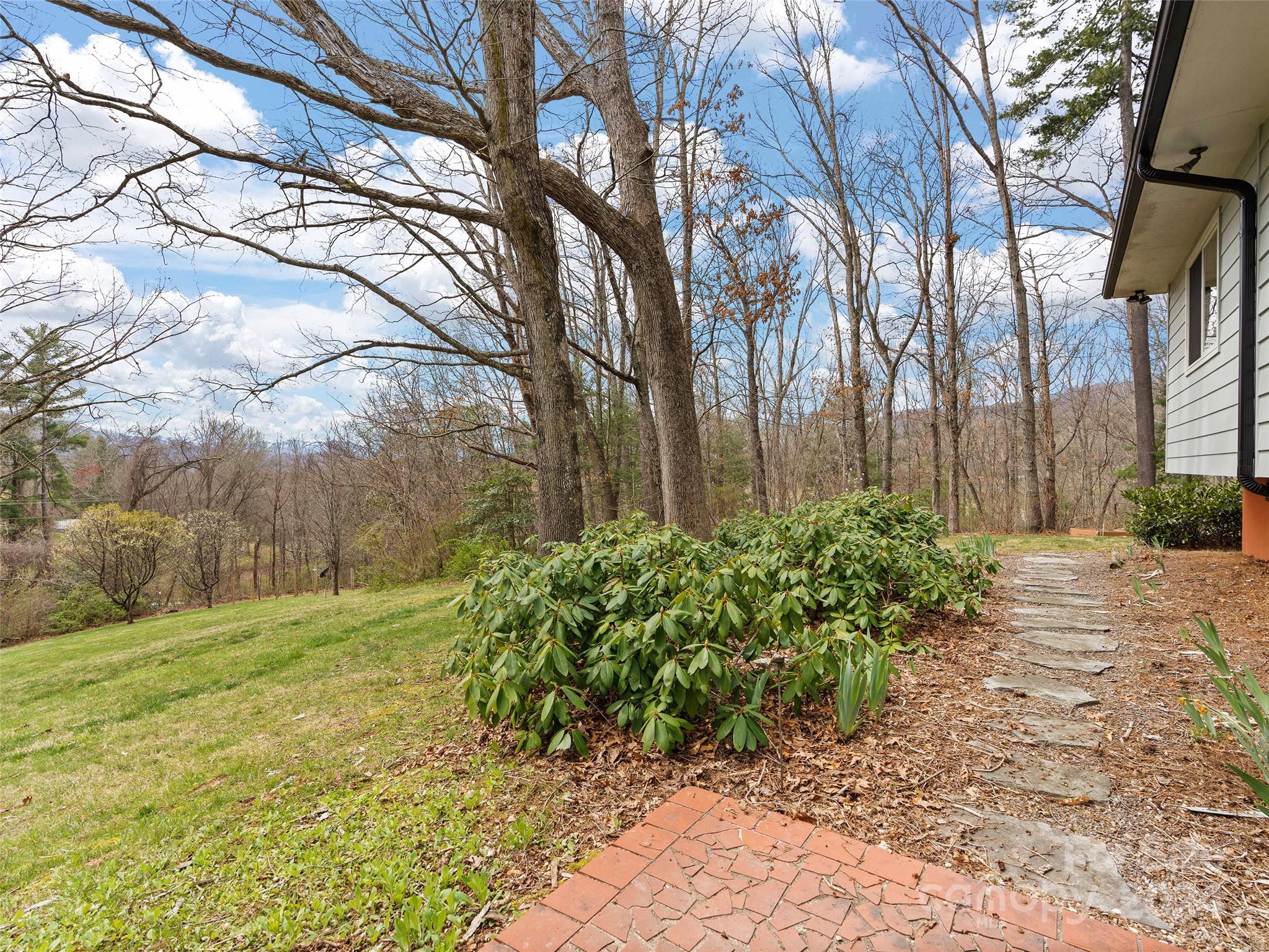 2599 Thickety Road Clyde, NC 28721 - Photo 24 of 30 a view of a yard with plants and trees