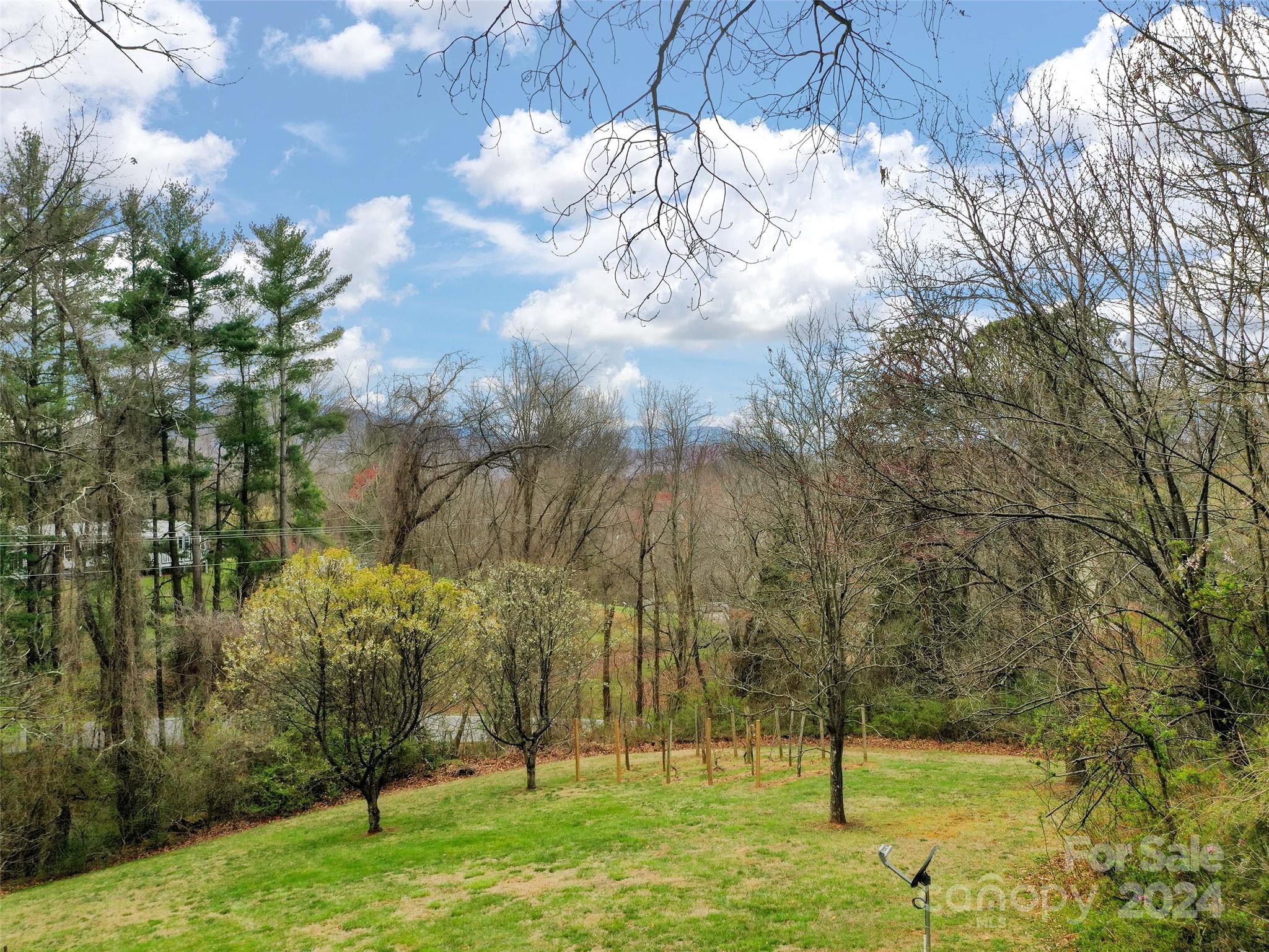 2599 Thickety Road Clyde, NC 28721 - Photo 26 of 30 a view of yard with a fountain