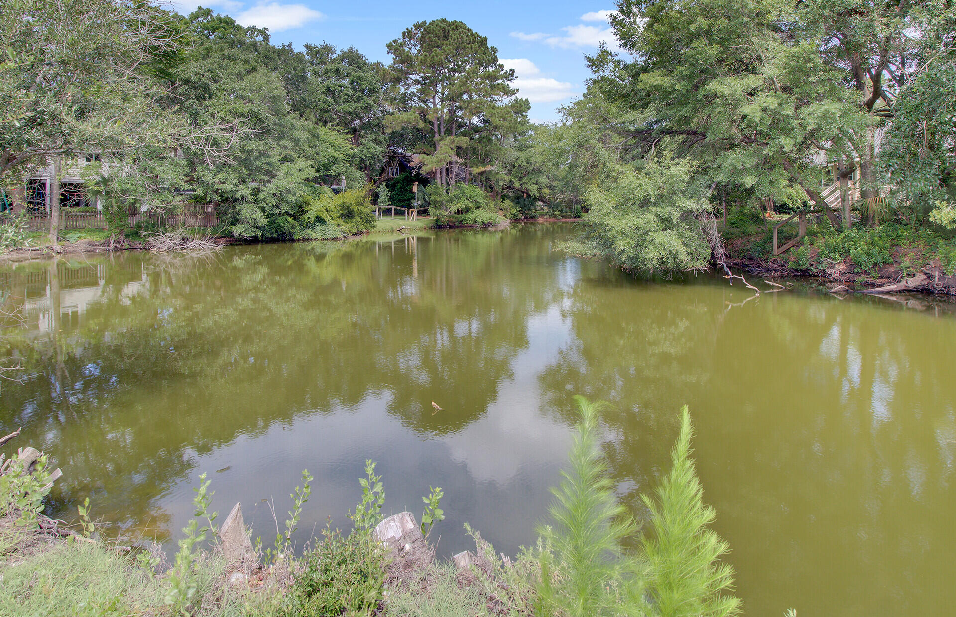 1405 Pine Island Mount Mount Pleasant, SC 29464 - Photo 27 of 33 Amenities