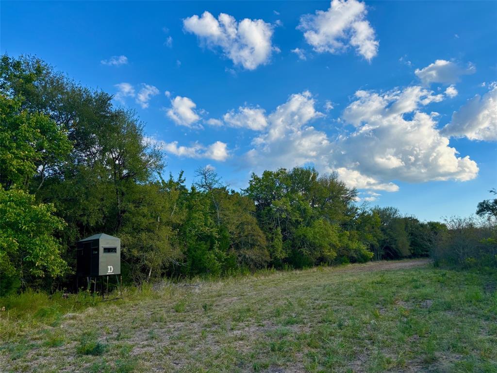 2967 Cr-4410 Commerce, TX 75428 - Photo 3 of 12